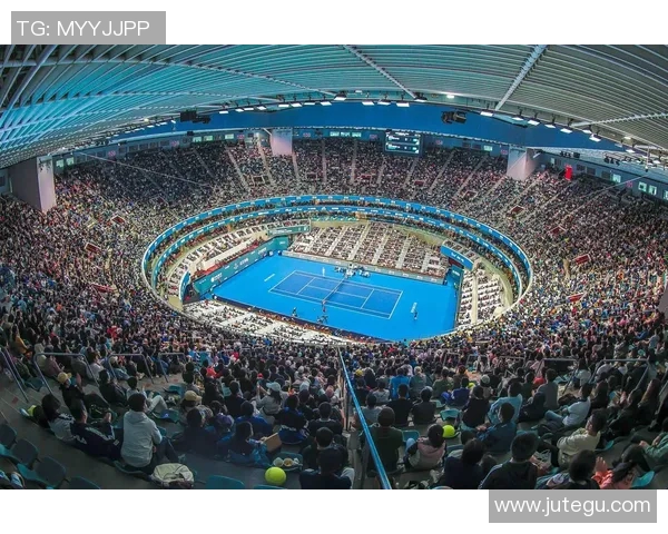 辛纳与维京精彩对决比分揭晓赛季战绩分析与未来展望